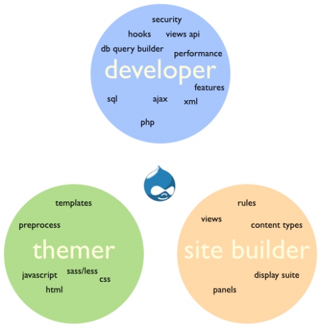 drupal developer