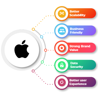 iOS app development benefits